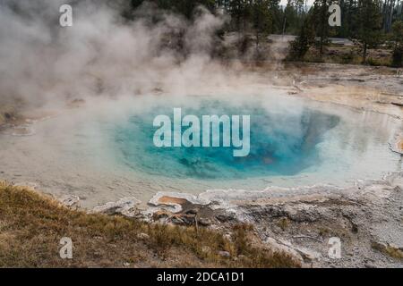 Dampf steigt vor der Silex Spring im Lower Geyser Basin im Yellowstone National Park, Wyoming, USA. Stockfoto