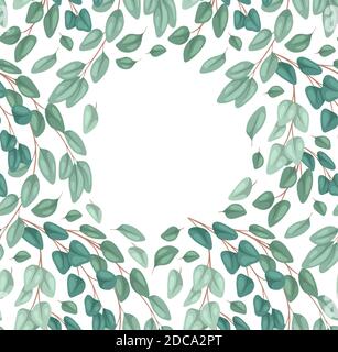 Quadratische Postkarte mit flachem Eukalyptus mit Platz für Text. Botanische Farbdarstellung von Eukalyptus popus. Vektor-Farbvorlage für Einladung, gr Stock Vektor