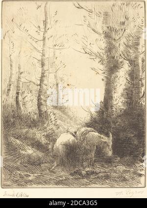 Alphonse Legros, (Künstler), französisch, 1837 - 1911, Farmer und sein Esel (Le fermier et son ane), Radierung und Trockenpunkt Stockfoto