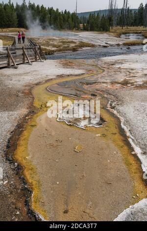 Wasser aus heißen Quellen mit einer Matte aus bunten Thermophilie Bakterien fließen in Iron Spring Creek, wenn Dampf aus steigt Grüner Frühling im schwarzen Sand Stockfoto