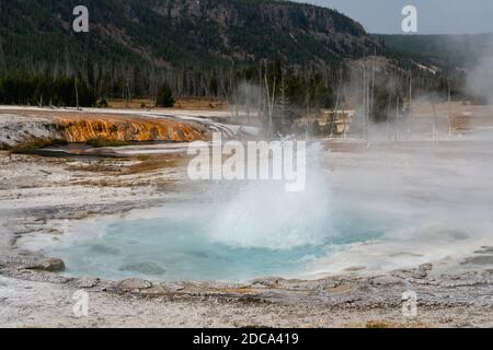 Der Spouter Geyser eruptiert heißes Wasser und Dampf im Black Sand Basin des Yellowstone National Park in Wyoming, USA. Stockfoto