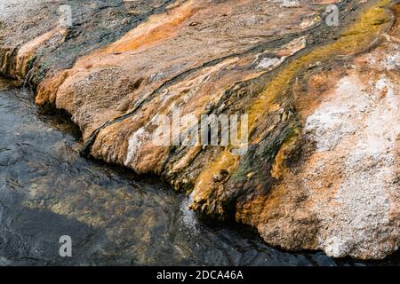 Nahaufnahme der Matten von bunten thermophilen Bakterien, die darin leben Das heiße Wasser, das in Iron Spring Creek in der abfließt Black Sand Basin von Yellowstone Stockfoto