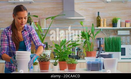 Hausfrau Putting Blumentöpfe auf dem Tisch für die Pflanzung von Blumen zu Hause in der Küche. Mit Fertil Boden mit Schaufel in Topf, weiße Keramik Topf und Pflanzen für den Heimgarten vorbereitet Stockfoto