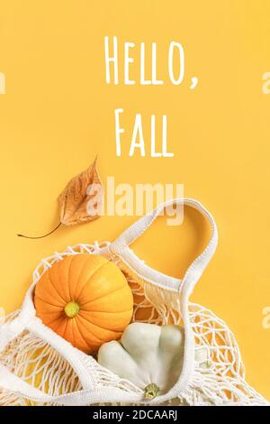 Hallo Herbst Text und Herbst Zusammensetzung gemacht Ernte Gemüse Kürbis Kürbis, Pattypan Squash in Shopping-Mesh-Tasche, Herbstblatt auf orangefarbenem Hintergrund. Stockfoto