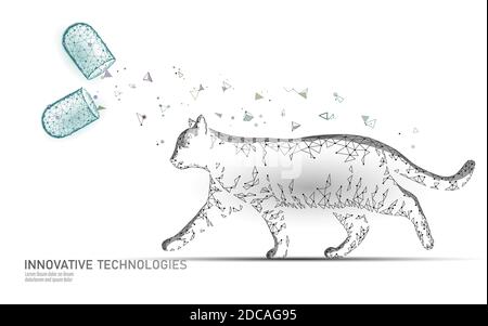 Katze Silhouette Kapsel medikamentöse Behandlung. Banner-Vorlage für Tierarztpharmazie. Analyse Virusinfektion. Tierarzt medizinische Hilfe. Tierarzt im Krankenhaus Stock Vektor