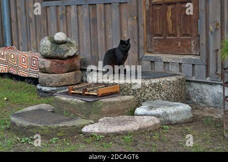 Eine schwarze Katze sitzt vor der Haustür eines Dorfes Haus und wartet auf Essen Stockfoto