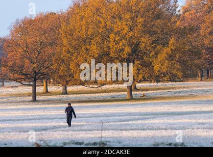 Richmond Upon Thames, London. November 2020. UK Wetter: Eine frostbedeckte Landschaft im Richmond Park im Westen Londons an einem hellen Herbstmorgen, Richmond upon Thames, England, Großbritannien. November 2020. England, Vereinigtes Königreich Kredit: Jeff Gilbert/Alamy Live News Stockfoto