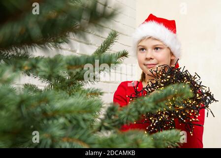 Mädchen in einem roten Gnome Hut hängt eine Girlande auf einem weihnachtsbaum. Installation einer weihnachtsbeleuchtung auf einem weihnachtsbaum. Dekorationen für weihnachten Stockfoto