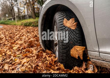 Auto, Fahren auf Herbstblättern, rutschiger Boden, Blätter, Grip durch Winterreifen, Stockfoto