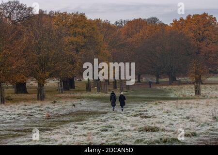 Richmond Upon Thames, London. November 2020. UK Wetter: Eine frostbedeckte Landschaft im Richmond Park im Westen Londons an einem hellen Herbstmorgen, Richmond upon Thames, England, Großbritannien. November 2020. England, Vereinigtes Königreich Kredit: Jeff Gilbert/Alamy Live News Stockfoto
