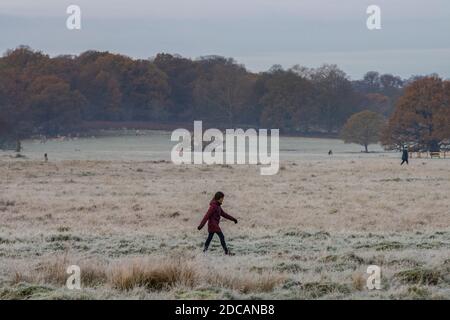 Richmond Upon Thames, London. November 2020. UK Wetter: Eine frostbedeckte Landschaft im Richmond Park im Westen Londons an einem hellen Herbstmorgen, Richmond upon Thames, England, Großbritannien. November 2020. England, Vereinigtes Königreich Kredit: Jeff Gilbert/Alamy Live News Stockfoto