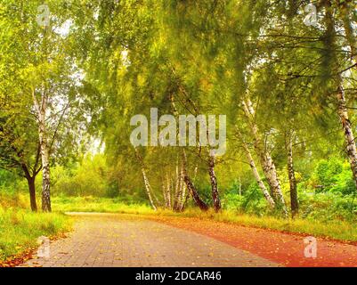Herbsteindruck - stilisiertes Bild als Ölgemälde. Stockfoto
