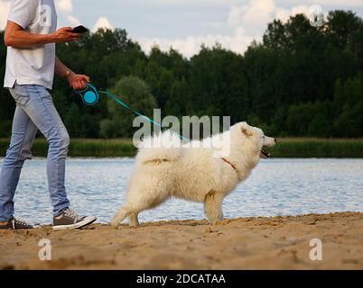 Weißer mittelgroßer Hund, der an einer Leine führt. Ein Mann mit Handy in der Hand. Am Ufer eines Sees. Wasser und Bäume im Hintergrund. Stockfoto