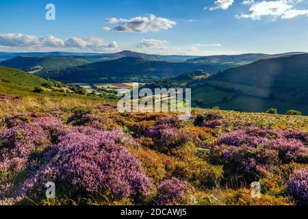 Hatterrall Hill; Blick auf Zuckerhut; Black Mountains; Wales Stockfoto