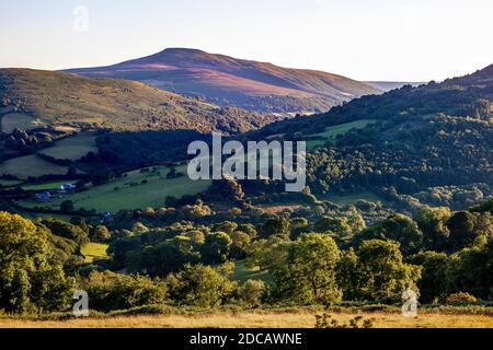 Hatterrall Hill; Blick auf Zuckerhut; Black Mountains; Wales Stockfoto
