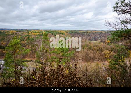 Der Blick auf den fernen Wald, wo die orangefarbenen und grünen Baumkronen gemischt sind. Dort fließt ein Fluss hinunter. Stockfoto
