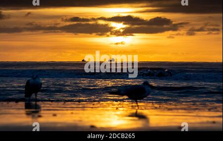 Bournemouth, Großbritannien. November 2020. Ein Fischerboot macht es Weg über Poole Bay bei Sonnenaufgang vom Bournemouth Strand an der Dorset Küste gesehen. Kredit: Richard Crease/Alamy Live Nachrichten Stockfoto