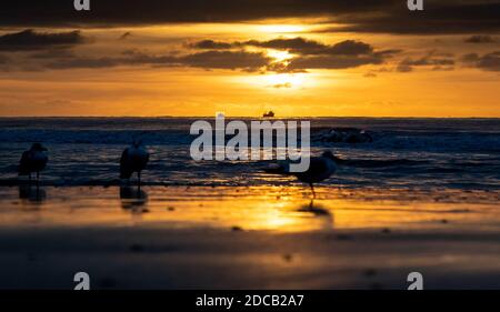 Bournemouth, Großbritannien. November 2020. Ein Fischerboot macht es Weg über Poole Bay bei Sonnenaufgang vom Bournemouth Strand an der Dorset Küste gesehen. Kredit: Richard Crease/Alamy Live Nachrichten Stockfoto