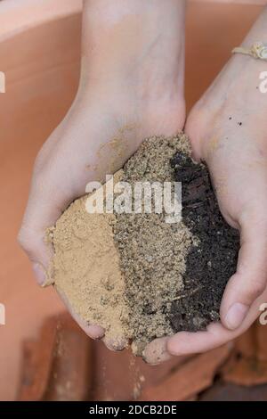 Herstellung eines Mini-Sandariums für Wildbienen, Mischung aus Sand, Ton und Erde in einer Schüssel gefüllt, Serienbild 12/18, Deutschland Stockfoto