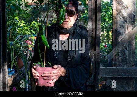 Frau in ihrem Garten isoliert sich während der Covid-19-Sperre Stockfoto