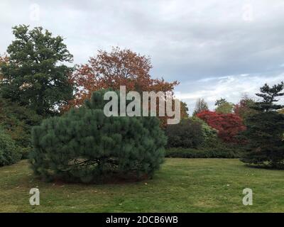 Exbury Gardens, Hampshire im Oktober 2020 Stockfoto