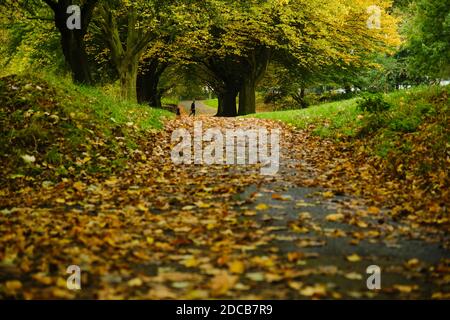 Walsall Arboretum im Herbst Stockfoto