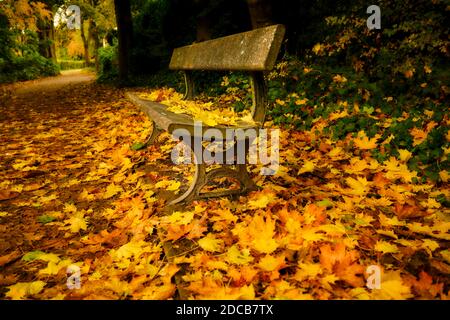 Walsall Arboretum im Herbst Stockfoto