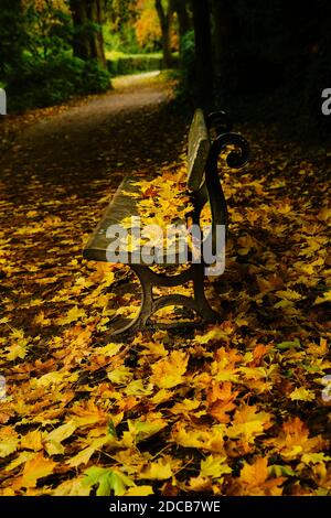 Walsall Arboretum im Herbst Stockfoto