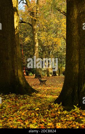 Walsall Arboretum im Herbst Stockfoto