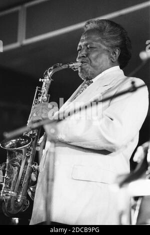 Illinois Jacquet, North Sea Jazz Festival, Den Haag, Niederlande, 1993. Stockfoto