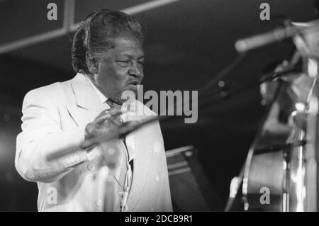 Illinois Jacquet, North Sea Jazz Festival, Den Haag, Niederlande, 1993. Stockfoto