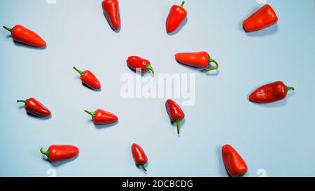 Chilis oder Paprika und Paprika oder Paprika. Süße Glocke, Paprika, Cayenne, Chili, ungarischen Wachs Pfeffer, isoliert auf hellblauem Hintergrund Stockfoto