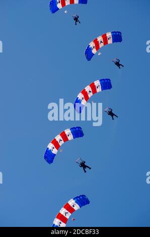 Falcons Parachute Display Team Stockfoto