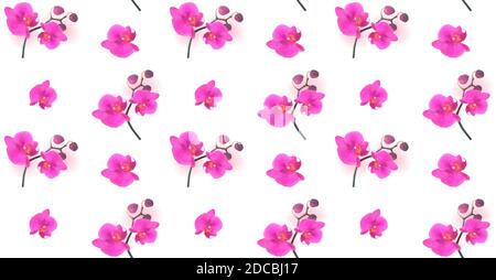 Nahtloses Muster Naturalistisch Schöne Bunte Rosa Orchidee. Abbildung. Stockfoto