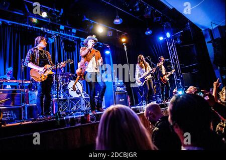 Tausend Pferde leben im Konzert Stockfoto