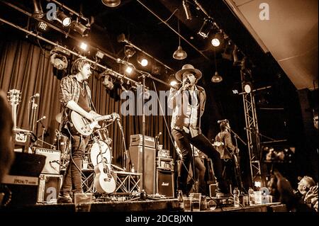 Tausend Pferde leben im Konzert Stockfoto