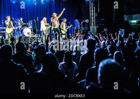 Tausend Pferde leben im Konzert Stockfoto