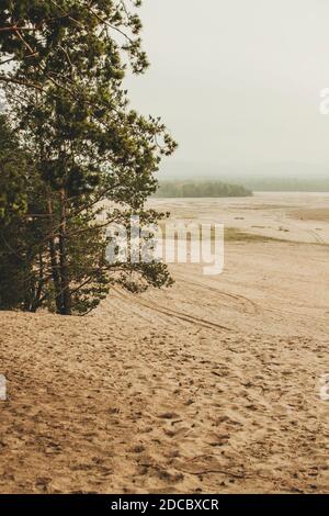 Bledowwüste (Pustynia bledowska) Größte Sandwüste in Schlesien in Polen Stockfoto