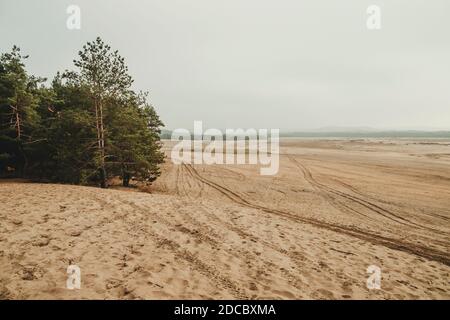 Bledowwüste (Pustynia bledowska) Größte Sandwüste in Schlesien in Polen Stockfoto