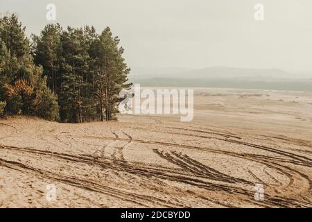 Bledowwüste (Pustynia bledowska) Größte Sandwüste in Schlesien in Polen Stockfoto