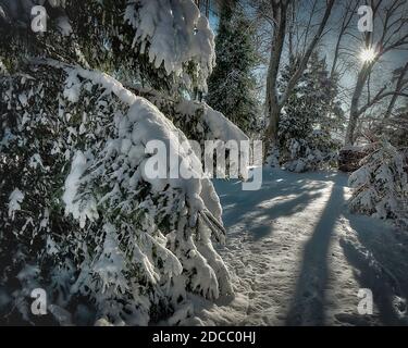 DE - Bayern: Szene Winter entlang der Isar in Bad Tölz Stockfoto