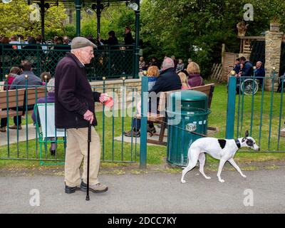 Auf älteren Mann, der seinen Hund läuft. Wetherby, West Yorkshire. Stockfoto