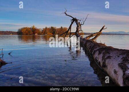 Bezirk Starnberg, Deutschland. November 2020. Kreis Starnberg, Deutschland 17. November 2020: Impressionen Starnberger See - 2020 Feldafing, Roseninsel, Kreis Starnberg, Herbst, Sonnenuntergang, Sonnenuntergang, Koloration, Starnberger See Quelle: dpa/Alamy Live News Stockfoto