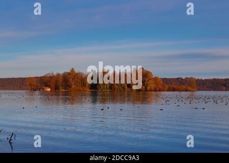 Bezirk Starnberg, Deutschland. November 2020. Kreis Starnberg, Deutschland 17. November 2020: Impressionen Starnberger See - 2020 Feldafing, Roseninsel, Kreis Starnberg, Herbst, Sonnenuntergang, Sonnenuntergang, Koloration, Starnberger See Quelle: dpa/Alamy Live News Stockfoto