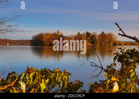 Bezirk Starnberg, Deutschland. November 2020. Kreis Starnberg, Deutschland 17. November 2020: Impressionen Starnberger See - 2020 Feldafing, Roseninsel, Kreis Starnberg, Herbst, Sonnenuntergang, Sonnenuntergang, Koloration, Starnberger See Quelle: dpa/Alamy Live News Stockfoto