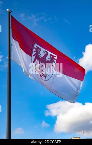 Koblenz, Deutschland. November 2020. Flagge des Landes Brandenburg mit Wappen. Koblenz, 17. November 2020 Quelle: dpa/Alamy Live News Stockfoto