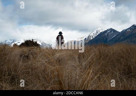 Wandern Bealey Spur Track im Arthur’s Pass National Park, mit schneebedeckten Bergen in der Ferne Stockfoto