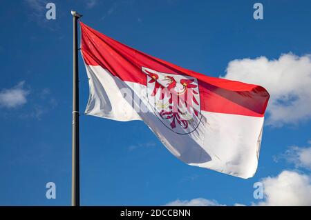 Koblenz, Deutschland. November 2020. Flagge des Landes Brandenburg mit Wappen. Koblenz, 17. November 2020 Quelle: dpa/Alamy Live News Stockfoto