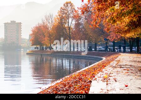 Herbstlandschaftsansicht der Seeseite von Omegna am Orta See. Schönes rotes Laub auf dem schattigen Gehweg Stockfoto