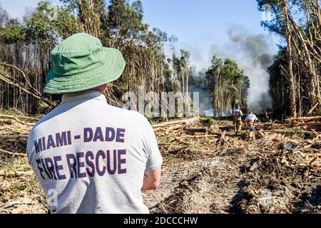 Miami Florida, Pennsuco West Okeechobee Road, Feuer beschädigt Bäume Asche kontrollierten Verbrennung, Feuerwehrmänner Feuerwehrmänner Everglades Rand, Stockfoto